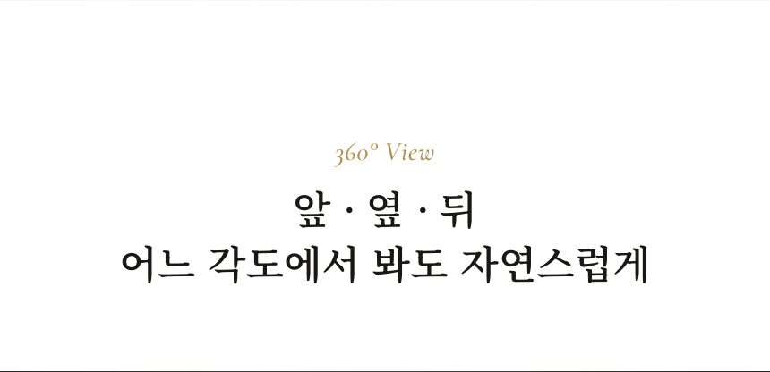 남성 시그니처 가발 (올 실크망) 360° 보기